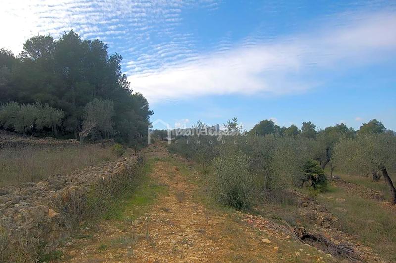 Foto 6f3b4077-aebb-4bb7-b3fa-181b032792cd. Finca rústica a Perelló (El)