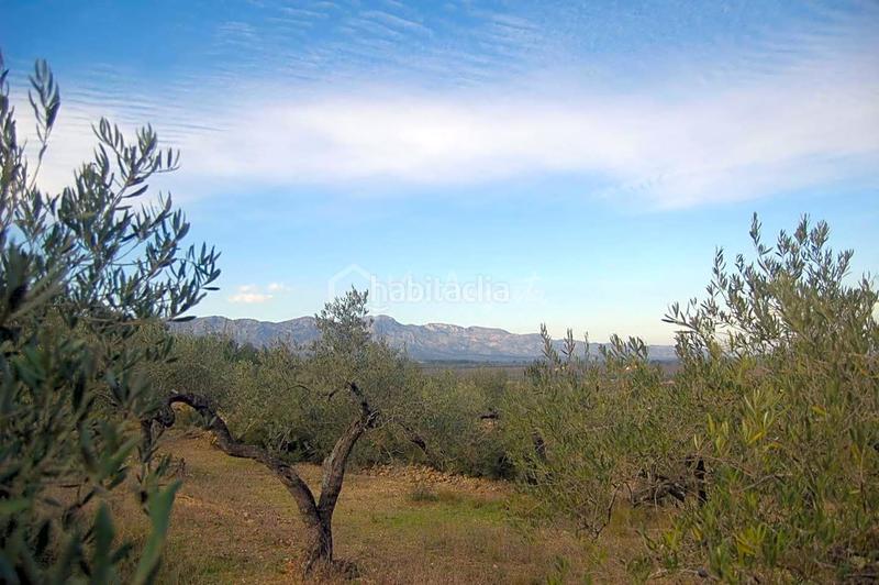 Foto 7ddb8d3d-16e3-4e95-b87b-df3e9714294c. Finca rústica a Perelló (El)