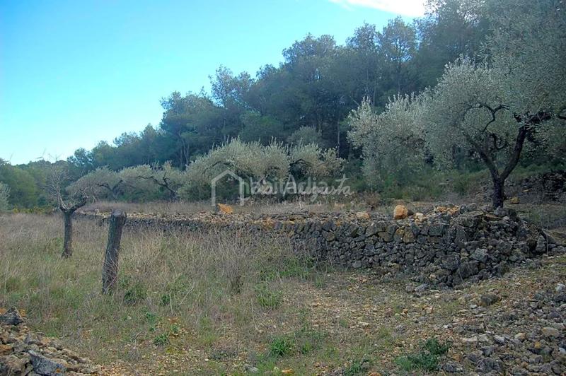 Foto 97218b56-4845-43b0-b865-1a267d9f7618. Finca rústica a Perelló (El)