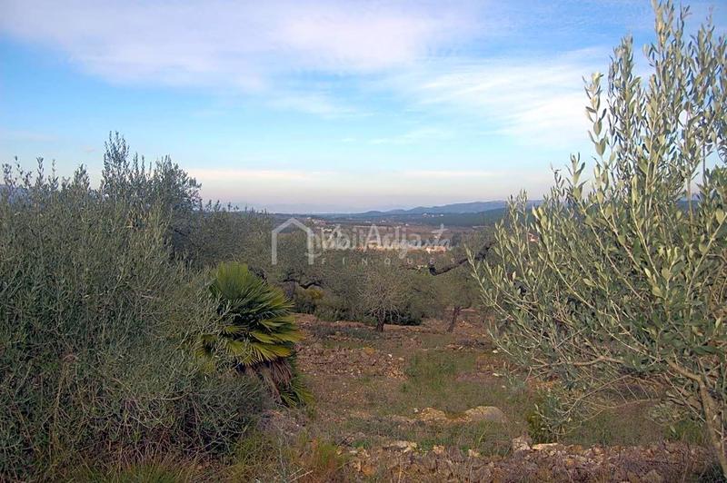 Foto 9c9dbdf1-b5b7-47fa-b3f3-11b6762cf0a4. Finca rústica a Perelló (El)