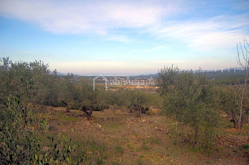 Foto b9d7644e-63dd-43a1-a833-a23b6d718378. Finca rústica a Perelló (El)