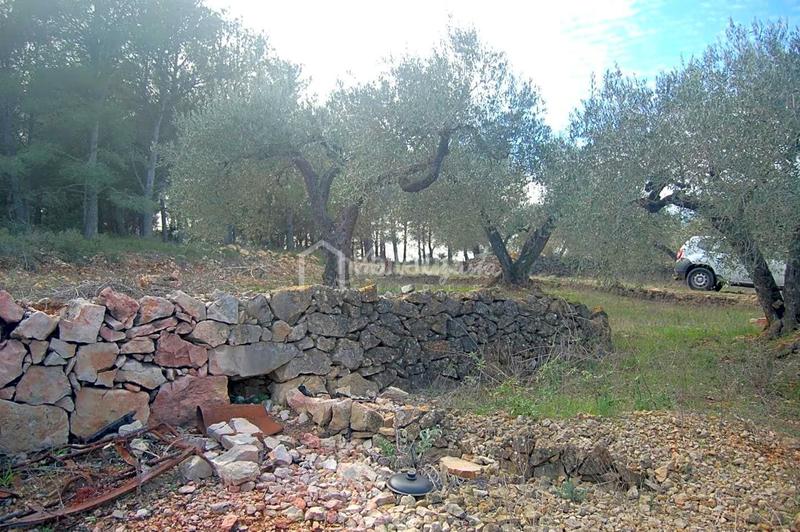 Foto bc12d1d7-777b-4c4c-a984-7e9be63689cd. Finca rústica a Perelló (El)