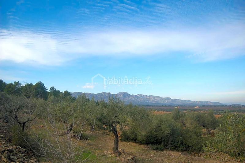 Foto d21cb8bf-e10d-4c38-b861-2ce86a3b0825. Finca rústica a Perelló (El)