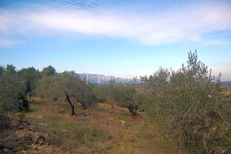 Foto dc648534-1aea-46bd-b9f9-0182b3224e74. Finca rústica a Perelló (El)