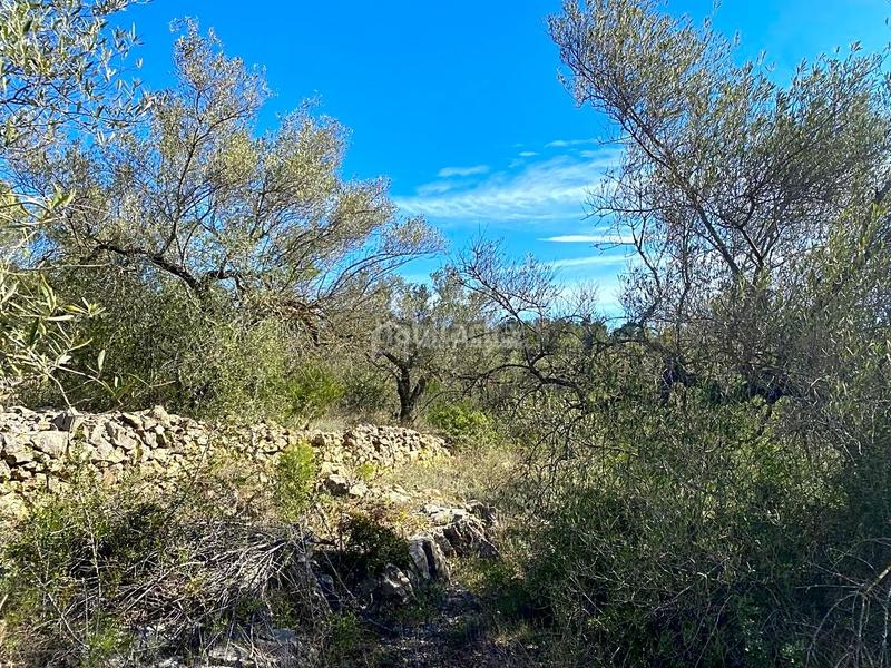 Foto 59731bfb-b8e7-4edf-b09e-07a1de3dc6a8. Landgut in Perelló (El)