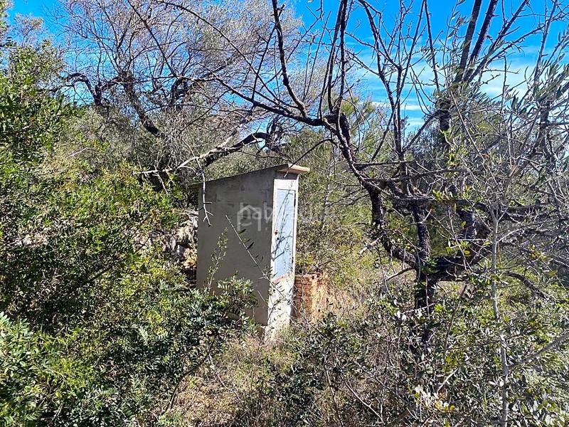 Foto b920bf1d-9b61-4e20-9fbd-28b260ce4bd7. Landgut in Perelló (El)