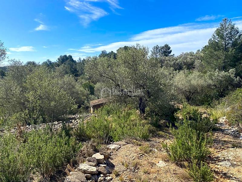 Foto e234c133-f167-43c9-a6a3-63f6474d4e1f. Landgut in Perelló (El)