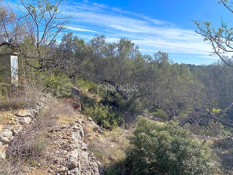 Foto cdf1a8c8-b406-4a68-a24d-266fafdb28e7. Rural plot in Perelló (El)