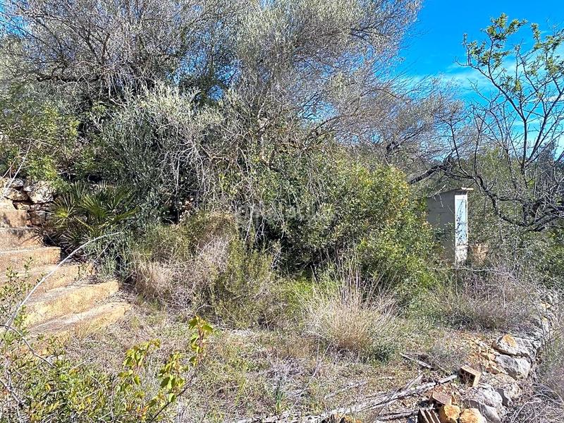 Foto faa55d10-4fa8-4d61-9ddf-2f617d18ce61. Rural plot in Perelló (El)