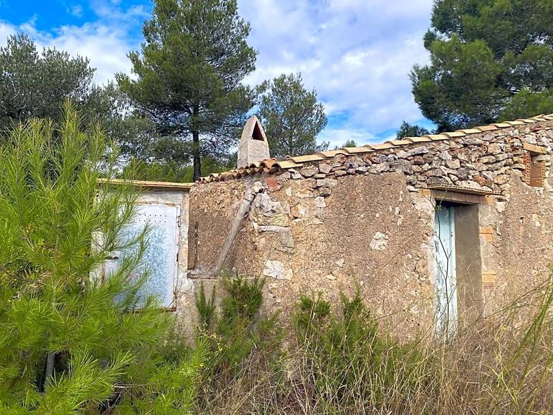 Foto 23037de7-562b-4507-b517-f8c5212cc08b. Finca rústica a Perelló (El)