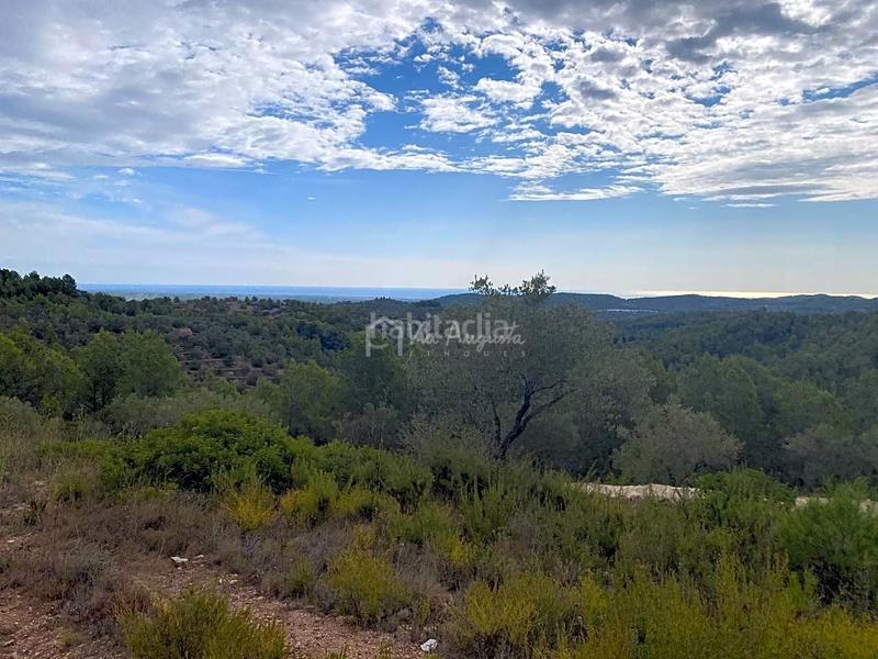 Foto 5069d82b-a159-4048-8ac4-988e437f0a64. Finca rústica a Perelló (El)