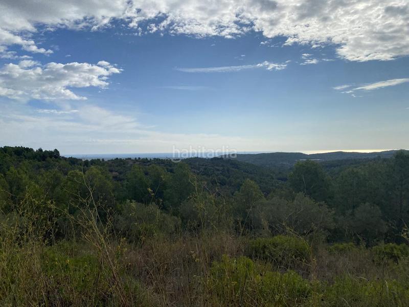 Foto 9c0c96cc-7c1c-4734-bfb0-6745aaabc542. Finca rústica a Perelló (El)