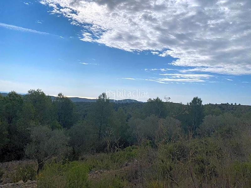 Foto a75d0304-b0e7-495f-847e-f1c359dc1612. Finca rústica a Perelló (El)