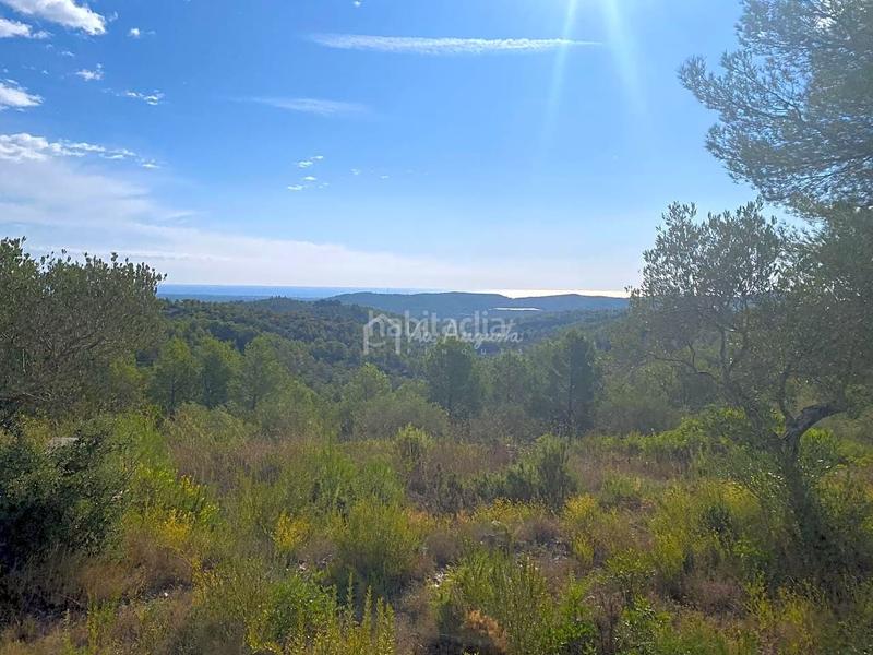 Foto b4f8d5e0-6e85-43df-a270-2ecb1638b0c1. Finca rústica a Perelló (El)