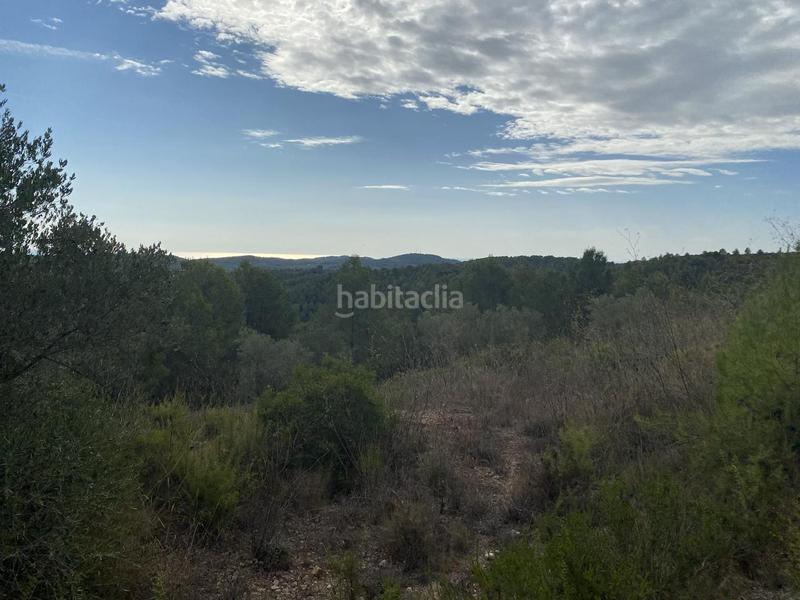 Foto c2496640-647f-49b5-be0c-d6c1d232fc2d. Finca rústica a Perelló (El)