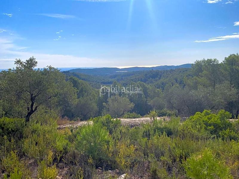 Foto c7833ce0-28c9-4a58-bf29-87e2461cde3e. Finca rústica a Perelló (El)