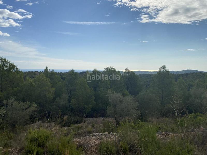 Foto ebea8e8e-bf32-4c9a-a734-49a33fcf88f7. Finca rústica a Perelló (El)