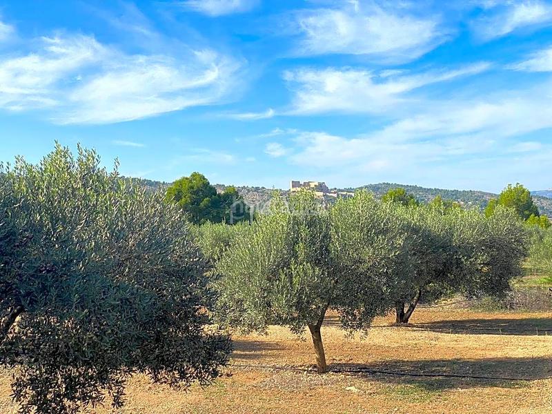 Foto 307f619c-fe05-456a-adfa-7aef1842a51e. Finca rústica en Ginestar