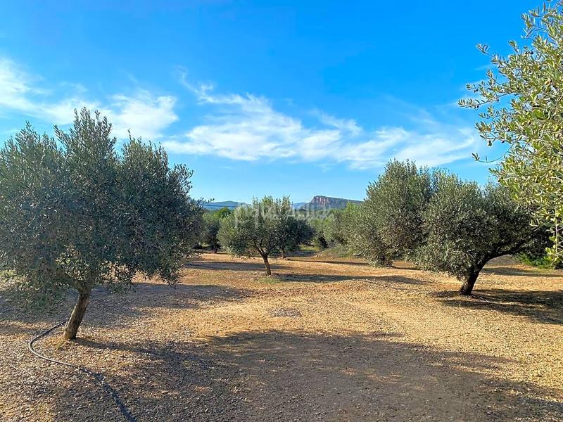 Foto bddedf82-d43b-468a-9568-c9335c458f66. Finca rústica en Ginestar