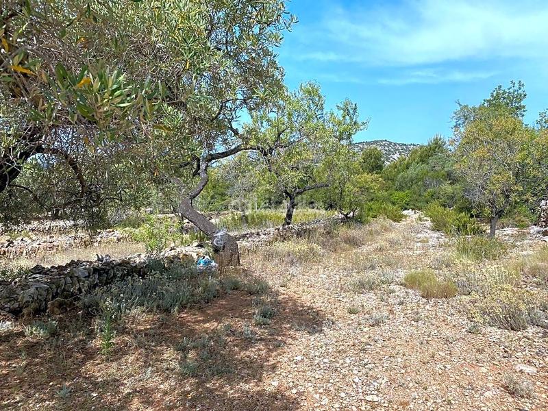 Foto 723a0248-d48f-4419-a7b7-9fbb4c4c4ebd. Finca rústica a Perelló (El)