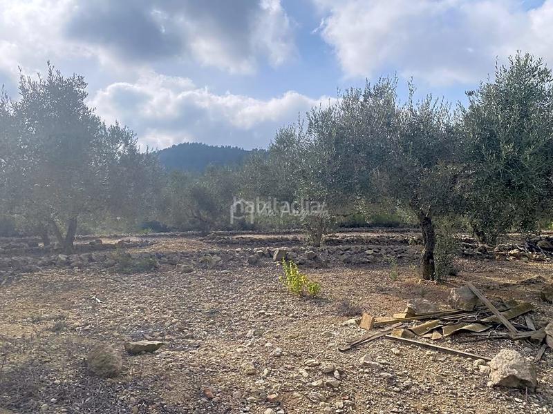 Foto 4c44cdd1-675f-43ec-8339-52c79084578f. Propriété dans Perelló (El)