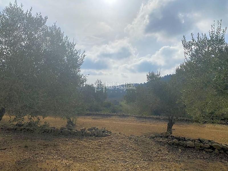 Foto 7f80f51e-902c-4024-a97c-33dab00fede7. Propriété dans Perelló (El)