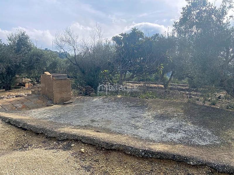 Foto 970e6653-ef15-4d1c-b7aa-b062a8b41874. Rural plot in Perelló (El)