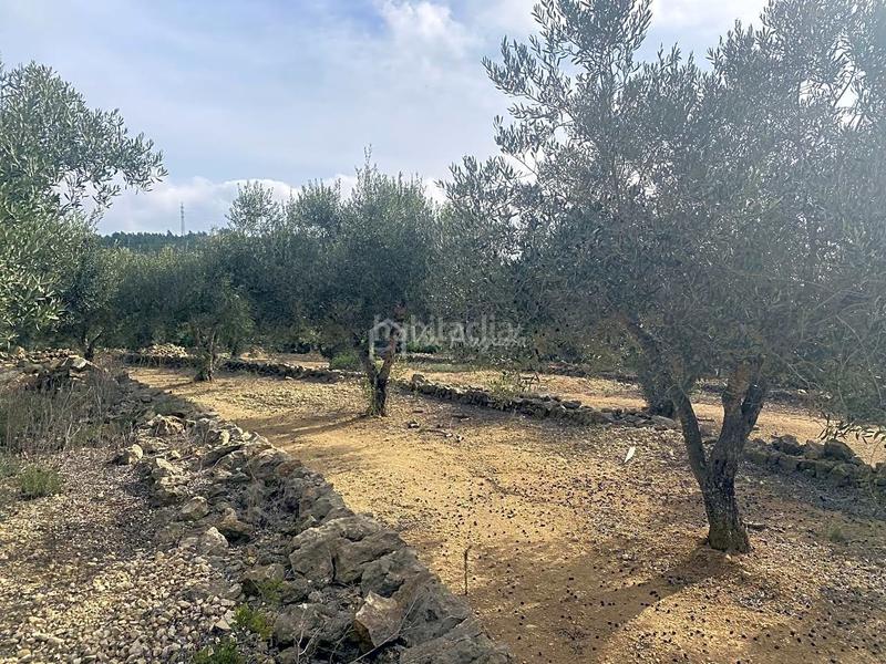 Foto d12bea7d-8575-45a6-bc10-ed3458ab8da2. Rural plot in Perelló (El)