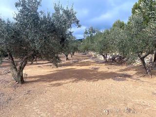 Finca rústica  Comes