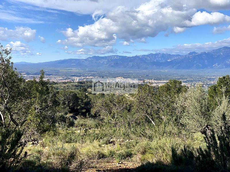 Foto 640d9574-8c44-4d70-a9d0-6d0da4c3e5a2. Propriété dans Bítem Tortosa