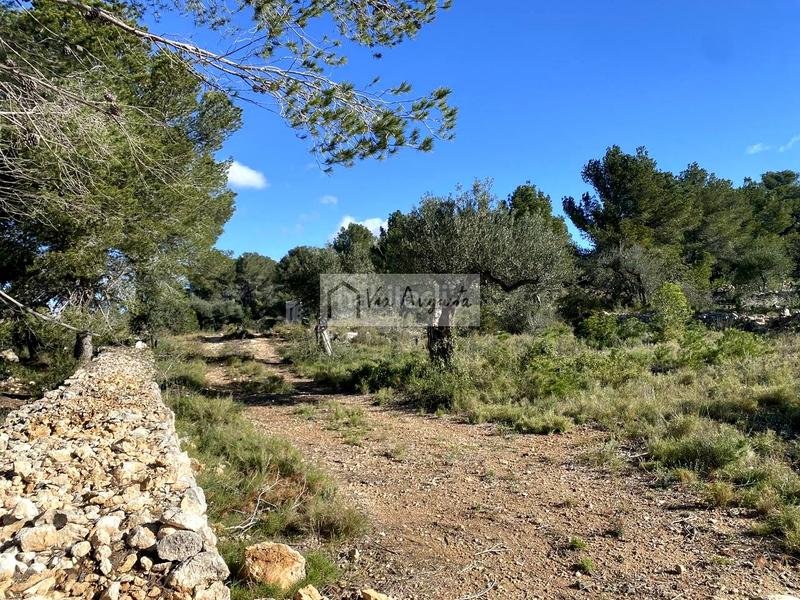 Foto 7b005056-5e8a-449d-85d6-a92b4c15a762. Propriété dans Bítem Tortosa