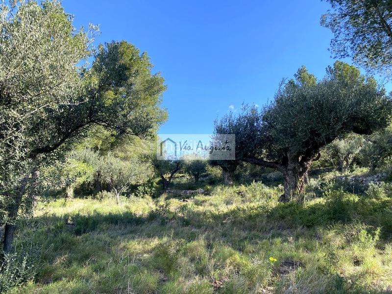 Foto f8202dec-b788-4cbf-9d54-4361b5c63701. Propriété dans Bítem Tortosa