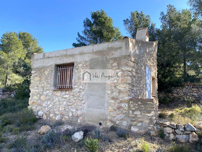 Foto 2c0d03d8-210c-401a-ab6a-195f80522a97. Rural plot in Bítem Tortosa