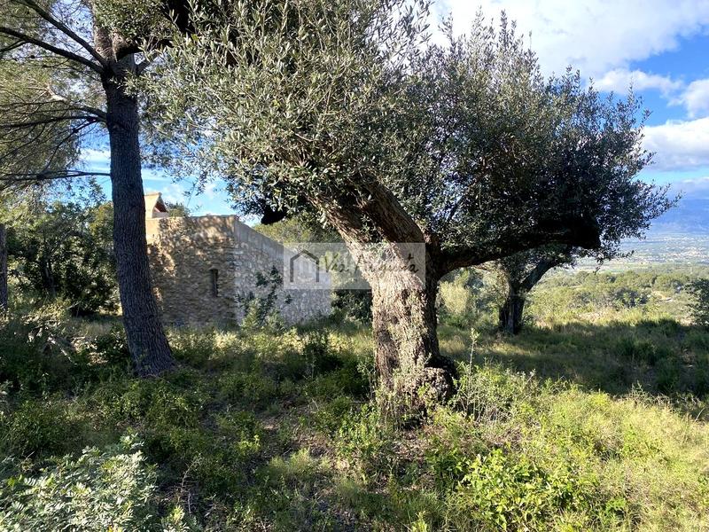 Foto 5ff25255-3f8b-468d-b351-9558a909dc85. Rural plot in Bítem Tortosa
