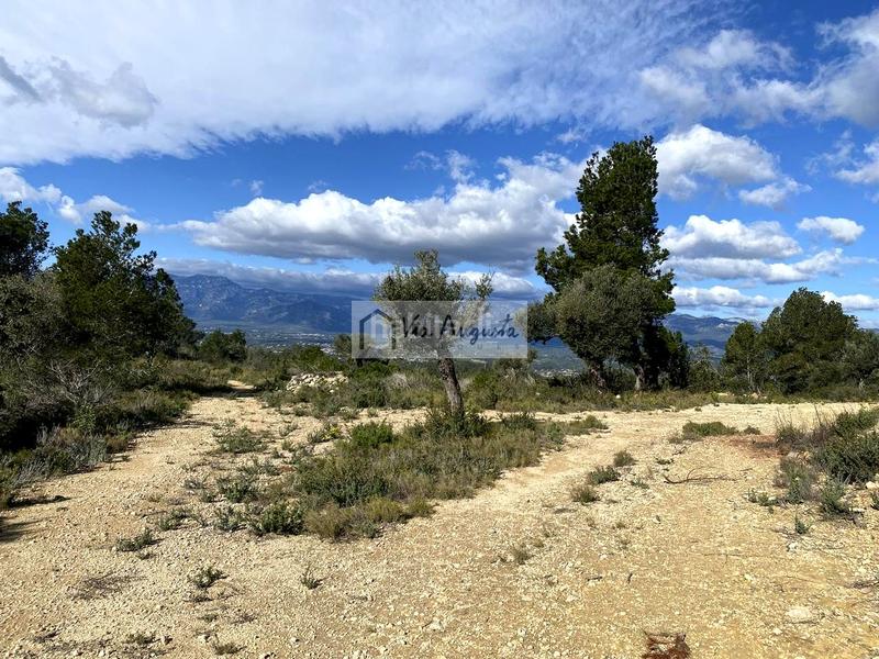 Foto 61b6b1cc-2643-4e46-84c7-4dd3a634c43c. Rural plot in Bítem Tortosa