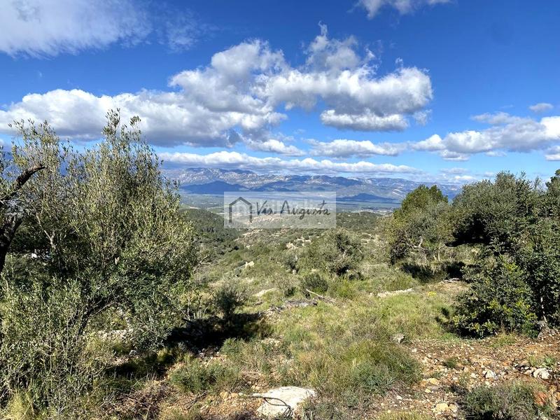 Foto 732acc34-5820-4f78-81ea-cc5d600e952c. Rural plot in Bítem Tortosa