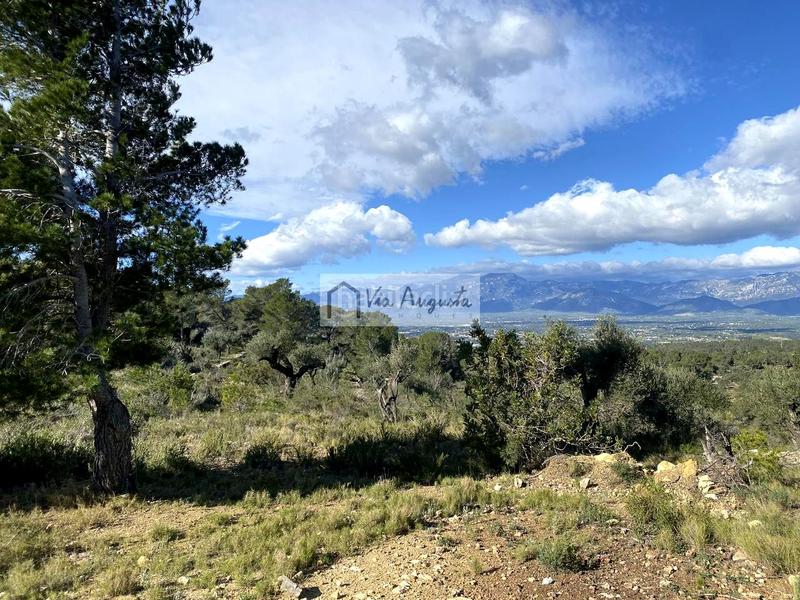 Foto a82384c9-e8bf-4cd9-bc7a-5247cf94c4a7. Rural plot in Bítem Tortosa