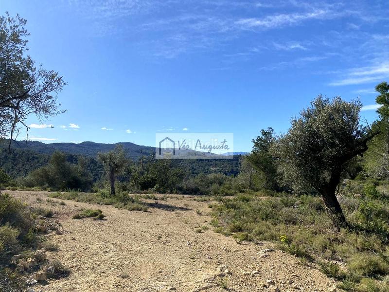 Foto abd7fc6d-823c-49a0-9670-60dbe08737d9. Rural plot in Bítem Tortosa