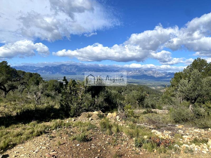 Foto b2a93ba1-27f7-41b4-8dd5-2b83fff59d08. Rural plot in Bítem Tortosa