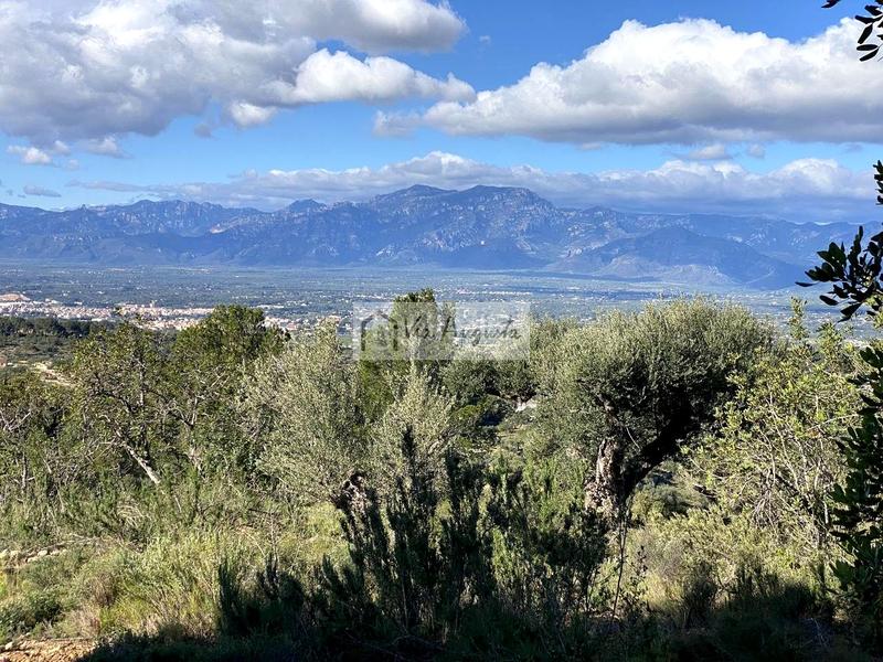 Foto b3bc484b-a3ce-4294-bb19-7f15a042898b. Rural plot in Bítem Tortosa