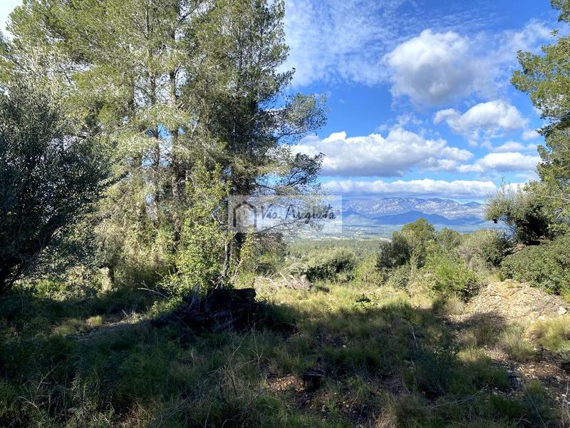 Foto d0ce37ad-8dee-4005-a94e-c28868c02f07. Rural plot in Bítem Tortosa