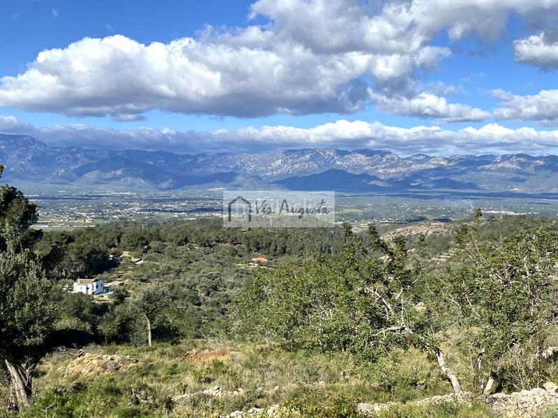 Foto 5459b36f-814b-42fa-8564-403a64ff5095. Finca rústica a Bítem Tortosa