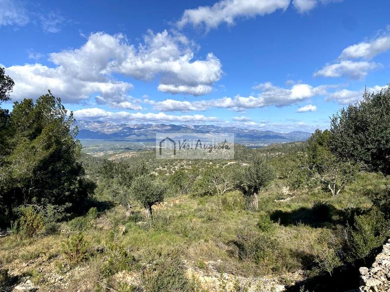 Foto 961c64c3-a90f-4b7a-9948-6e604ca3ccc8. Finca rústica a Bítem Tortosa