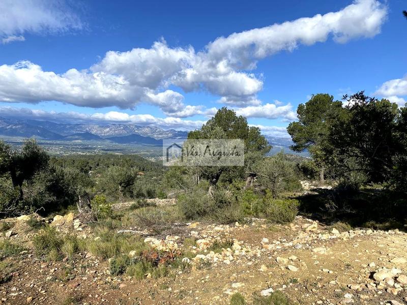 Foto 009413d7-70ae-4ff6-b0e5-7f030b9f0b09. Finca rústica en Bítem Tortosa