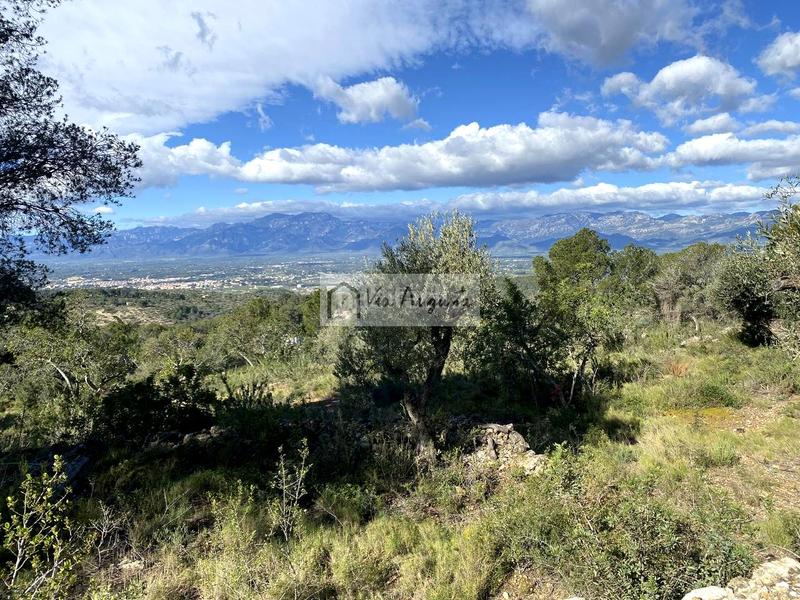 Foto de039b86-a97a-42a0-b10e-5250e4366522. Finca rústica en Bítem Tortosa