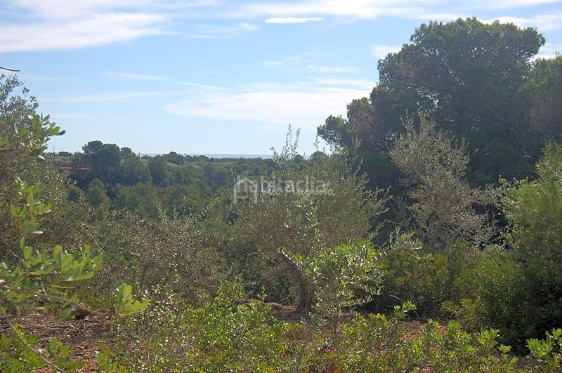 Foto 0cd970a4-b26c-4a17-a97b-bffacc84ea7d. Landgut in Ampolla (L´)