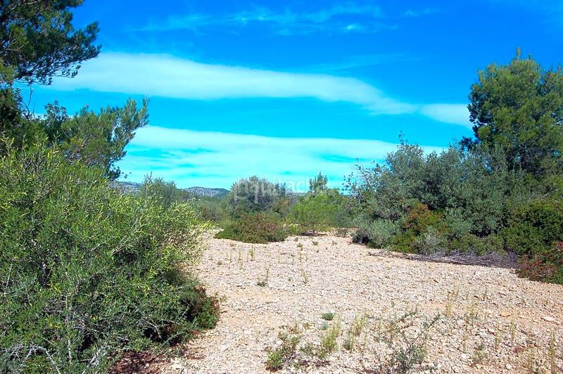 Foto 21ff3dad-462f-4a6e-a318-9c5a3d00e42d. Landgut in Ampolla (L´)