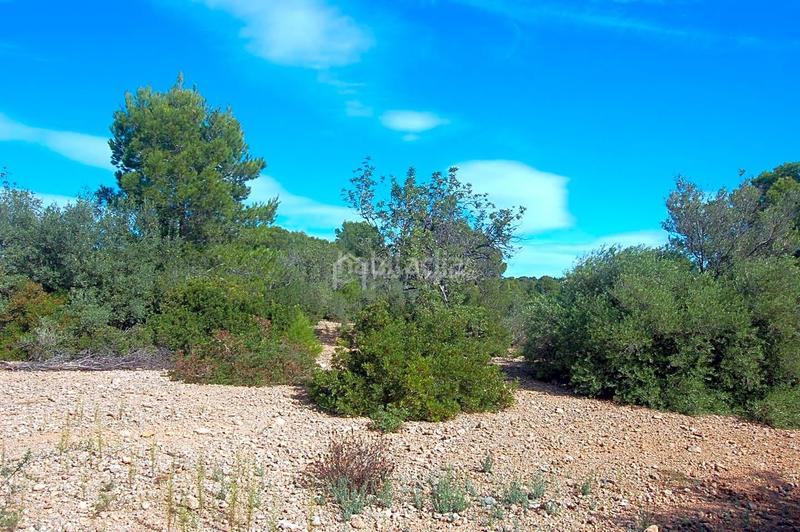 Foto 265dbbda-2f2b-443e-b43e-4eeecfd802d1. Landgut in Ampolla (L´)