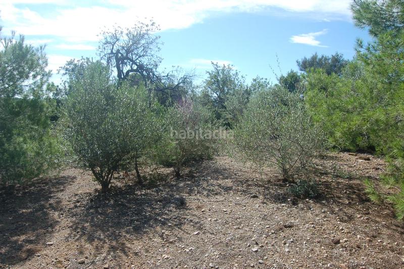 Foto 39d20a4b-ee18-4868-b2e9-69ded8bf018e. Landgut in Ampolla (L´)