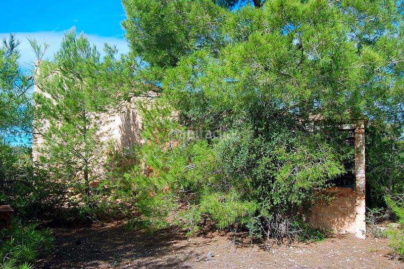 Foto 925976d4-b4d2-460e-b181-192bd6bdb40e. Landgut in Ampolla (L´)